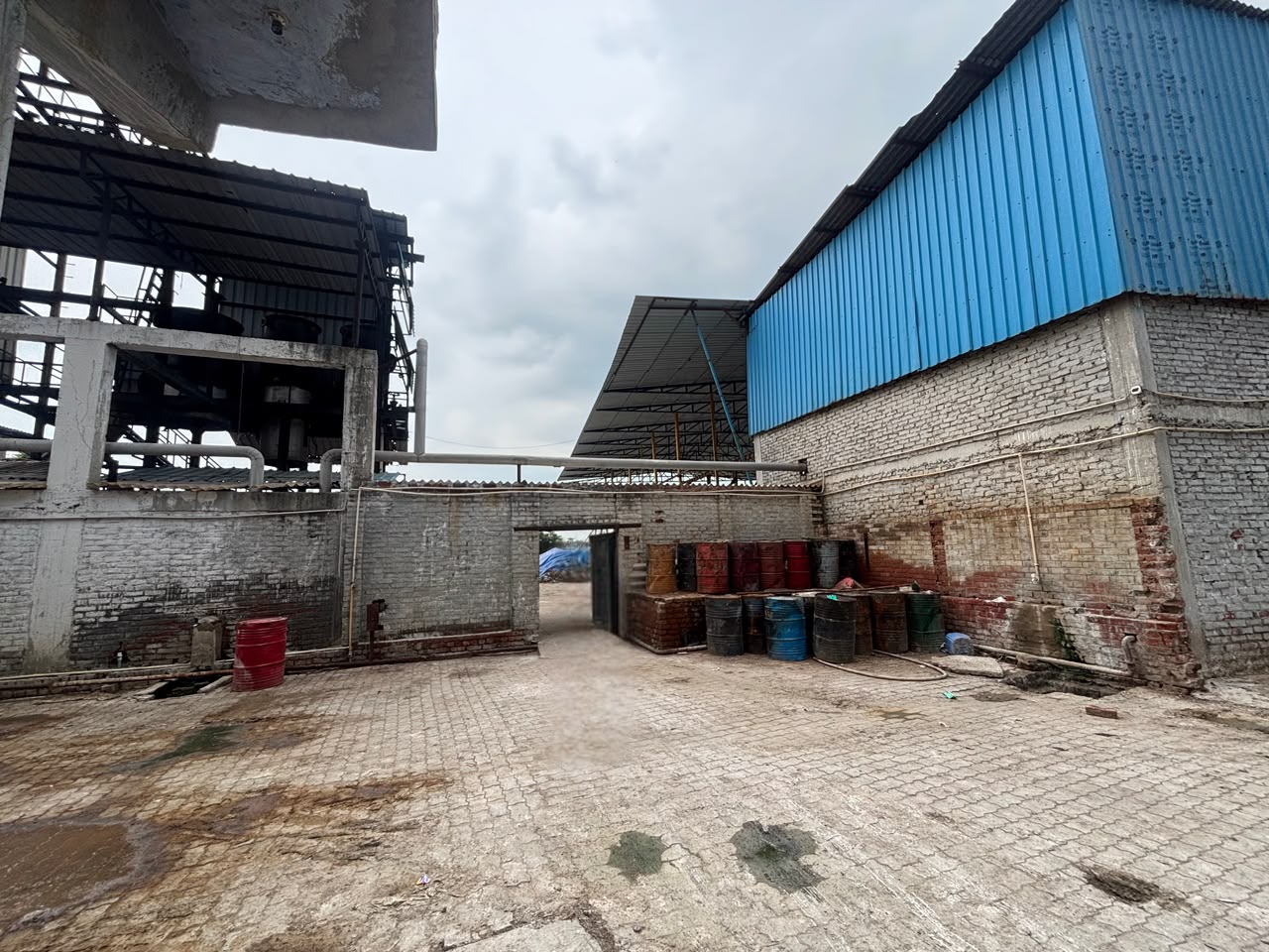 Technical Grade Gelatin Powder — drum roller forming process